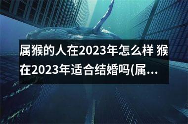 属猴的人在2025年怎么样 猴在2025年适合结婚吗(属猴的在2025年的运程是怎么样)