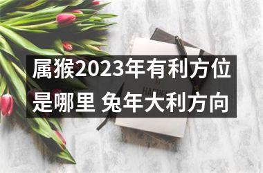 属猴2025年有利方位是哪里 兔年大利方向