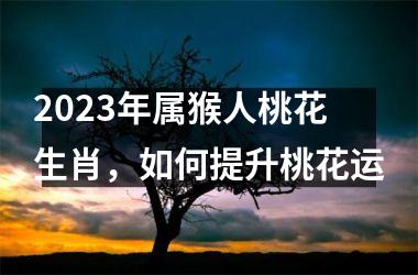 2025年属猴人桃花生肖，如何提升桃花运