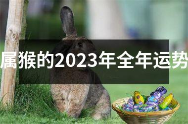 属猴的2025年全年运势