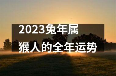 2025兔年属猴人的全年运势