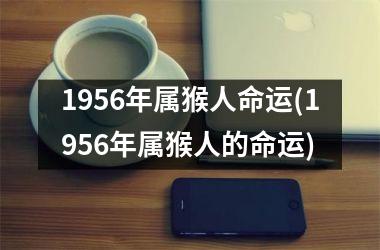 1956年属猴人命运(1956年属猴人的命运)