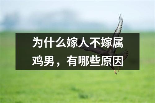 <h3>为什么嫁人不嫁属鸡男，有哪些原因