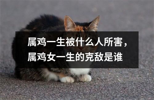 <h3>属鸡一生被什么人所害，属鸡女一生的克敌是谁