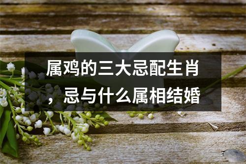 <h3>属鸡的三大忌配生肖，忌与什么属相结婚