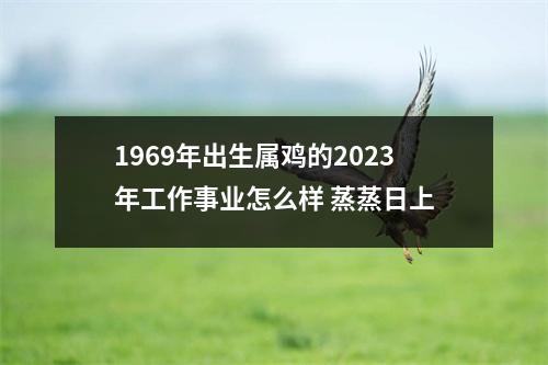 <h3>1969年出生属鸡的2025年工作事业怎么样蒸蒸日上