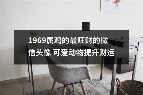 1969属鸡的旺财的微信头像可爱动物提升财运