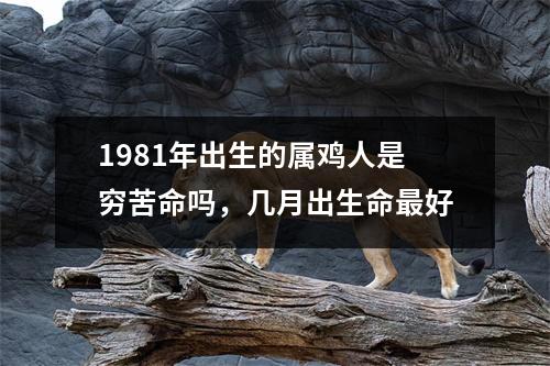 <h3>1981年出生的属鸡人是穷苦命吗，几月出生命好