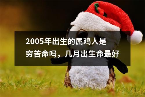 2005年出生的属鸡人是穷苦命吗，几月出生命好