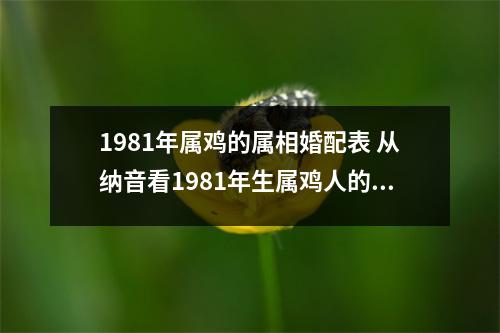 <h3>1981年属鸡的属相婚配表从纳音看1981年生属鸡人的命运