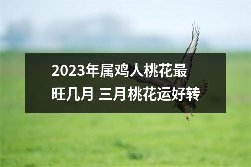 <h3>2025年属鸡人桃花旺几月三月桃花运好转