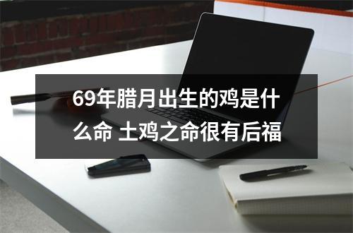 <h3>69年腊月出生的鸡是什么命土鸡之命很有后福