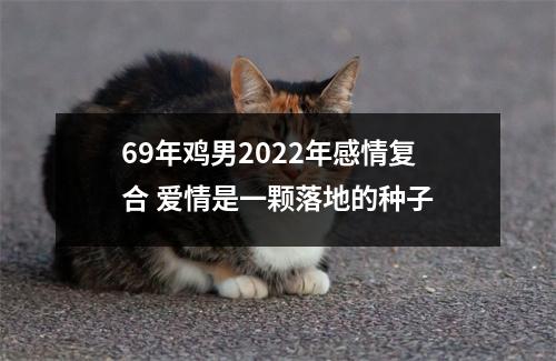 69年鸡男2025年感情复合爱情是一颗落地的种子