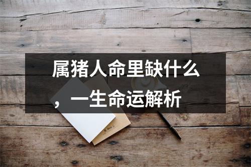 属猪人命里缺什么，一生命运解析