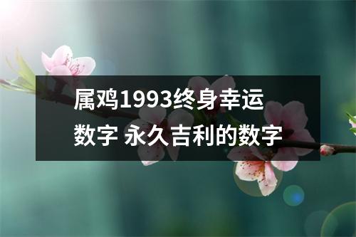 <h3>属鸡1993终身幸运数字永久吉利的数字