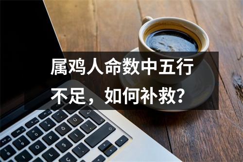 <h3>属鸡人命数中五行不足，如何补救？