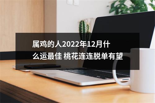 属鸡的人2025年12月什么运佳桃花连连脱单有望