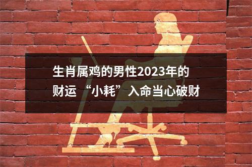 <h3>生肖属鸡的男性2025年的财运“小耗”入命当心破财