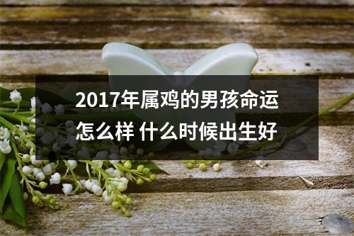 <h3>2017年属鸡的男孩命运怎么样什么时候出生好