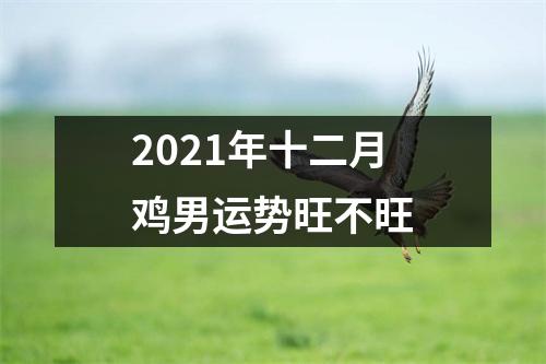 2025年十二月鸡男运势旺不旺