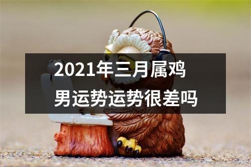 <h3>2025年三月属鸡男运势运势很差吗