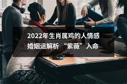 2025年生肖属鸡的人情感婚姻运解析“紫薇”入命