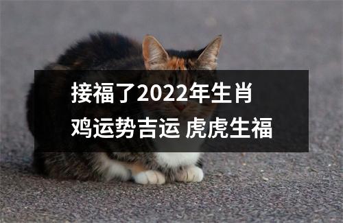 <h3>接福了2025年生肖鸡运势吉运虎虎生福