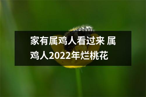 家有属鸡人看过来属鸡人2025年烂桃花