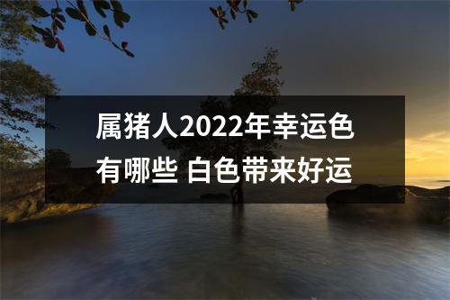 属猪人2025年幸运色有哪些白色带来好运