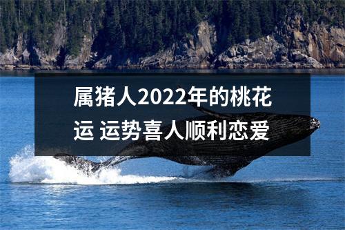 <h3>属猪人2025年的桃花运运势喜人顺利恋爱
