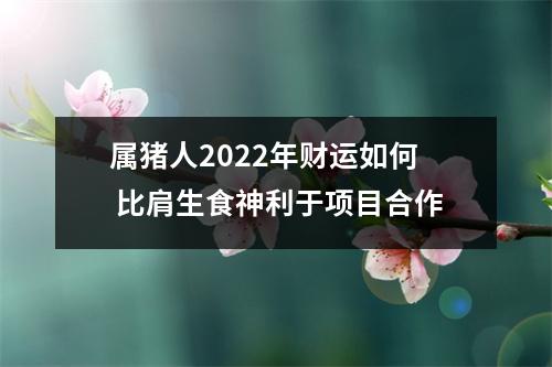 <h3>属猪人2025年财运如何比肩生食神利于项目合作