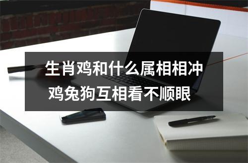 <h3>生肖鸡和什么属相相冲鸡兔狗互相看不顺眼