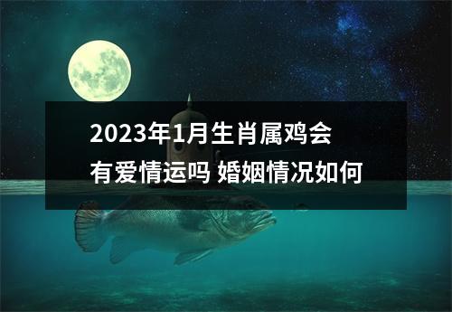 2025年1月生肖属鸡会有爱情运吗婚姻情况如何