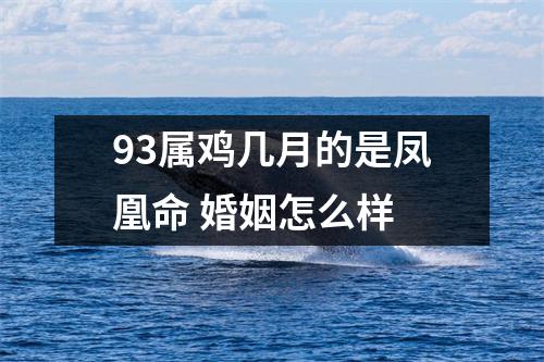 <h3>93属鸡几月的是凤凰命婚姻怎么样