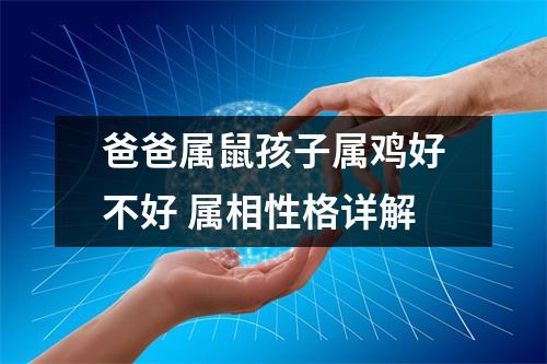 <h3>爸爸属鼠孩子属鸡好不好属相性格详解