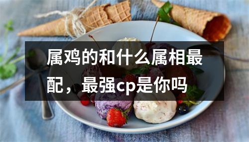 属鸡的和什么属相配，强cp是你吗