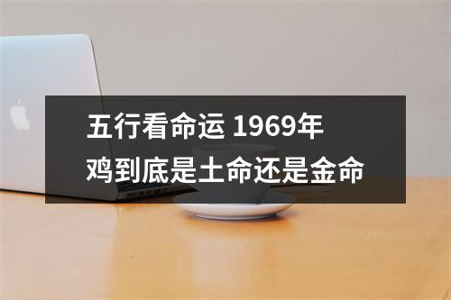 五行看命运1969年鸡到底是土命还是金命