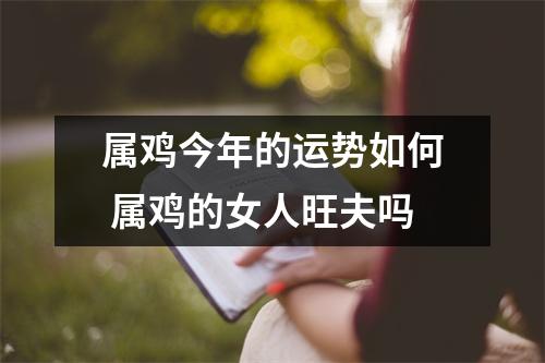 属鸡今年的运势如何属鸡的女人旺夫吗