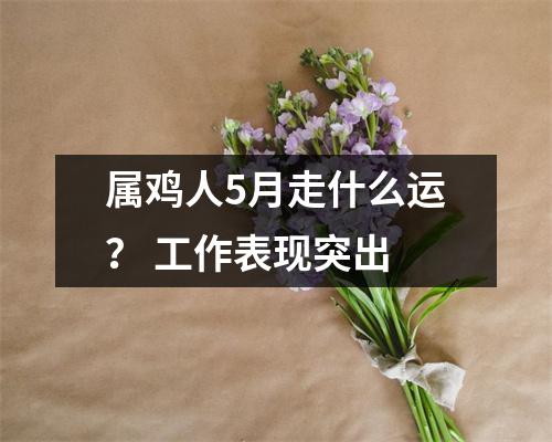 <h3>属鸡人5月走什么运？工作表现突出