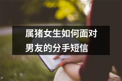 属猪女生如何面对男友的分手短信