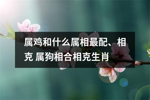 属鸡和什么属相配、相克属狗相合相克生肖