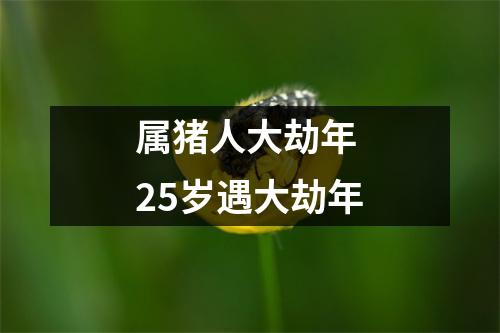 属猪人大劫年25岁遇大劫年