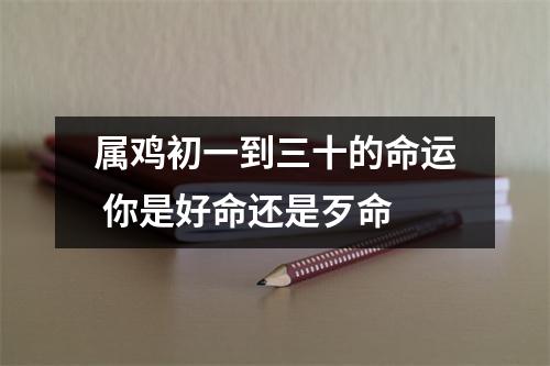 属鸡初一到三十的命运你是好命还是歹命