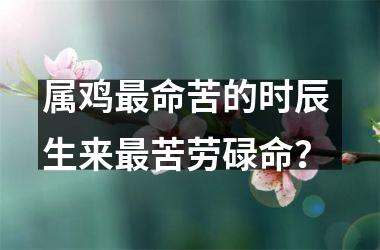 属鸡命苦的时辰 生来苦劳碌命？