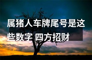 属猪人车牌尾号是这些数字 四方招财