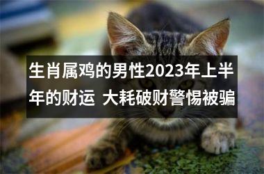 生肖属鸡的男性2025年上半年的财运  大耗破财警惕被骗