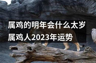 属鸡的明年会什么太岁 属鸡人2025年运势