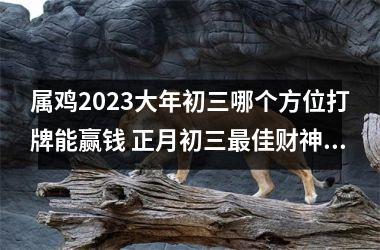 属鸡2025大年初三哪个方位打牌能赢钱 正月初三佳财神方位