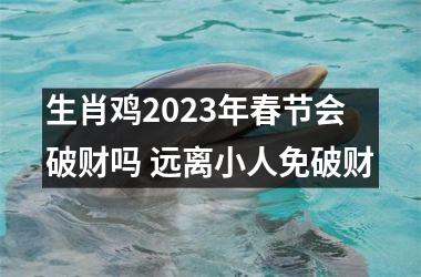 生肖鸡2025年春节会破财吗 远离小人免破财