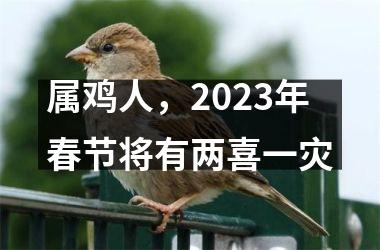 属鸡人，2025年春节将有两喜一灾